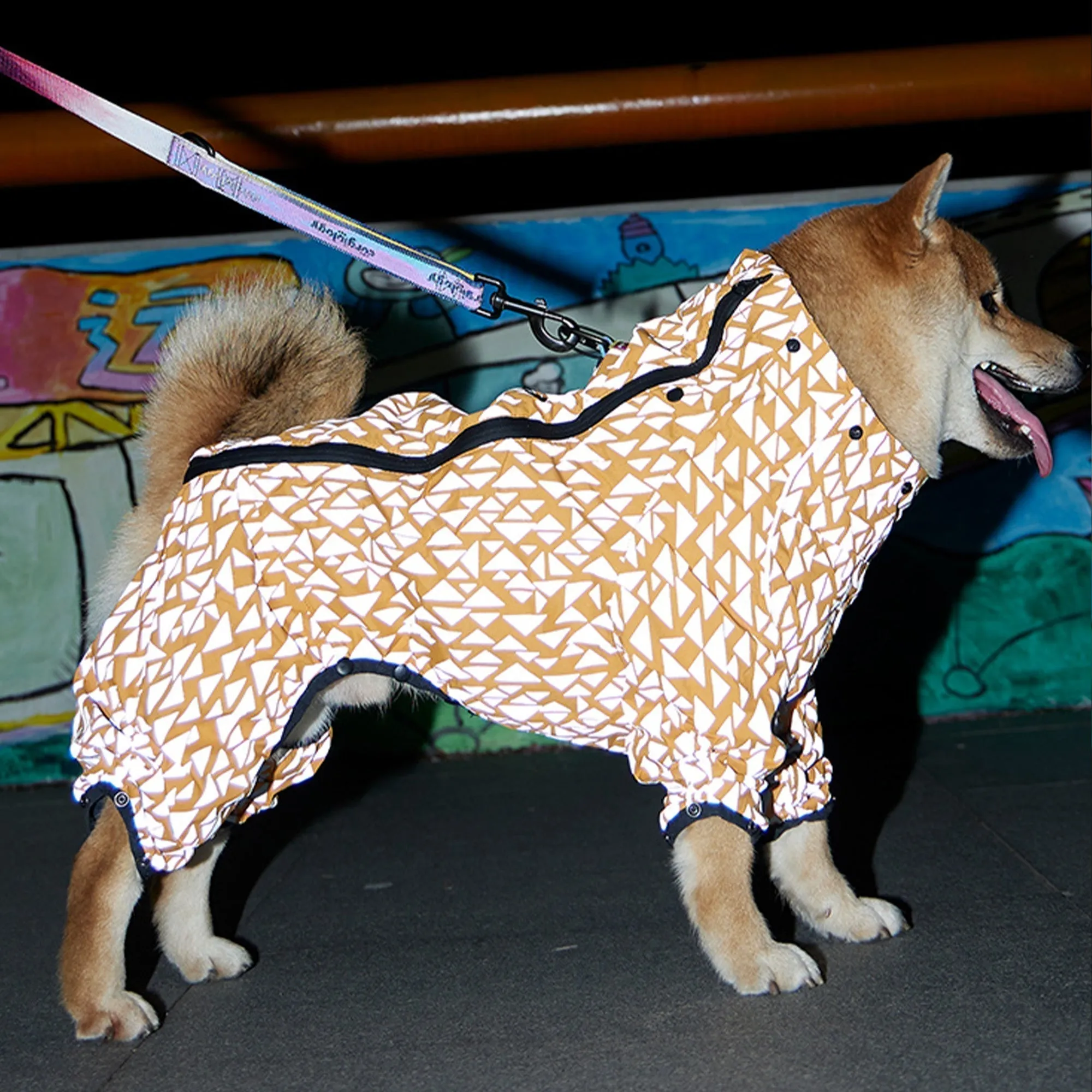 Olive Tree Dog Raincoats